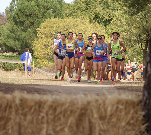LA COMPLETA GALERÍA DE KSTFOTOGRAFÍA DE LA 66ª EDICIÓN DEL TROFEO MARATHON DE CAMPO A TRAVÉS
