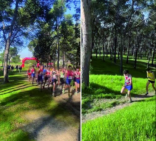 CAMPEONATOS DE MADRID DE TRAIL RUNNING: SOFÍA RUBIO, CAMPEONA SUB-20; JOSÉ VARONA, PLATA; BRONCES PARA GABRIELLE LEMUS Y ARIADNA VILLALOBOS