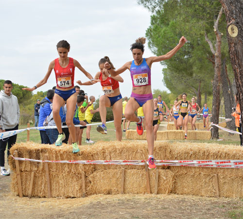 La Agrupación Deportiva Marathon ultima los preparativos para la 64º Trofeo Marathon de Campo a Través