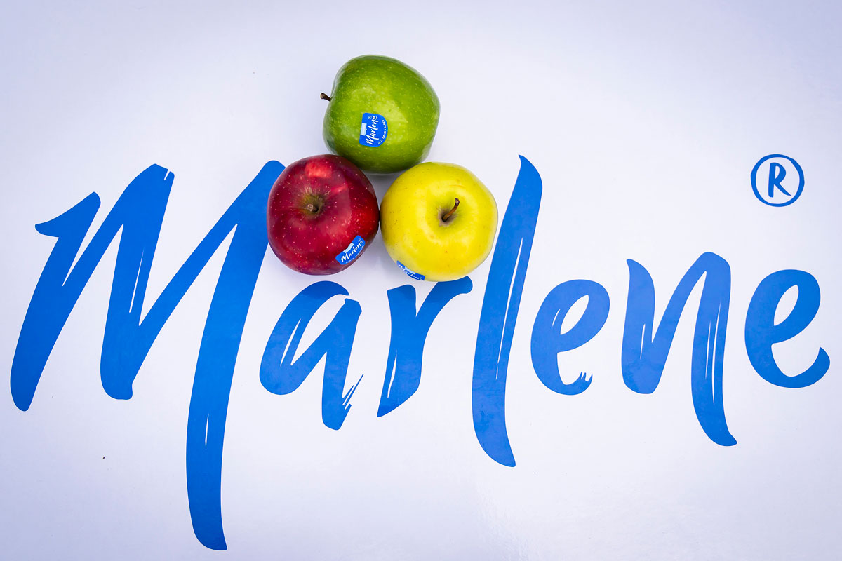 Prueba a ganar con Marlene® dos dorsales para A Coruña