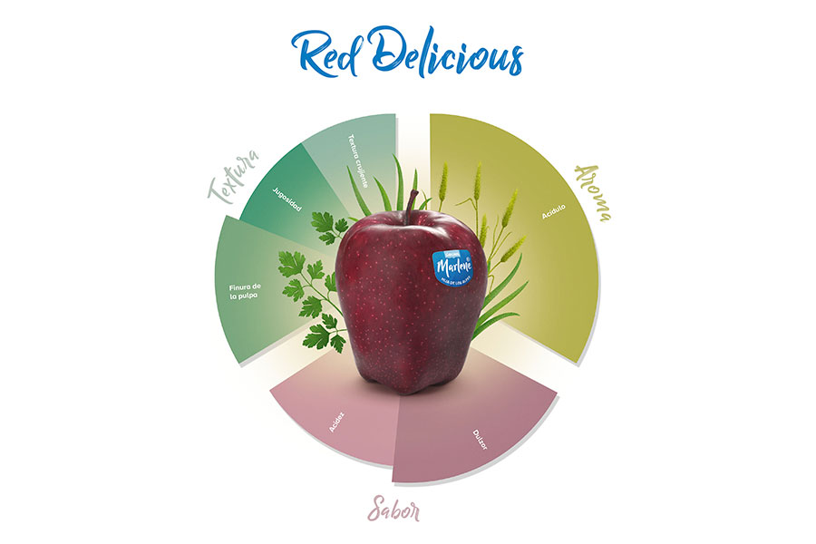 Disfruta de todo el sabor de una Red Delicious Marlene®