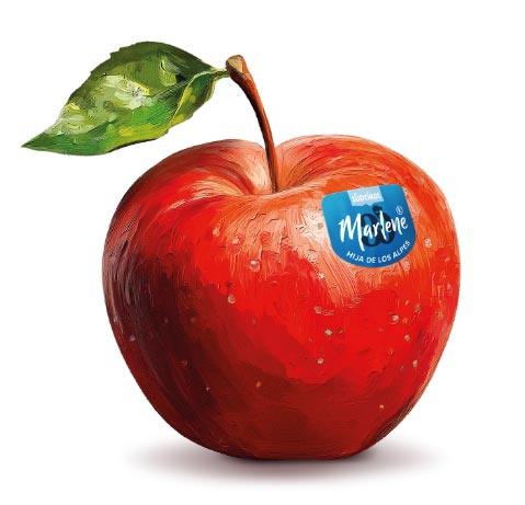 ¿Un momento literario antes o después de la carrera? Toma la inspiración de Marlene®