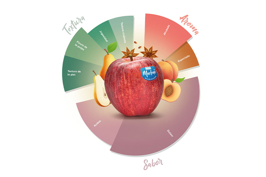 Disfruta de todo el sabor de una Royal Gala Marlene®