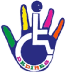 Carrera por la discapacidad DEDINES