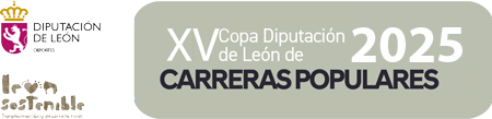 Copa Diputación de León