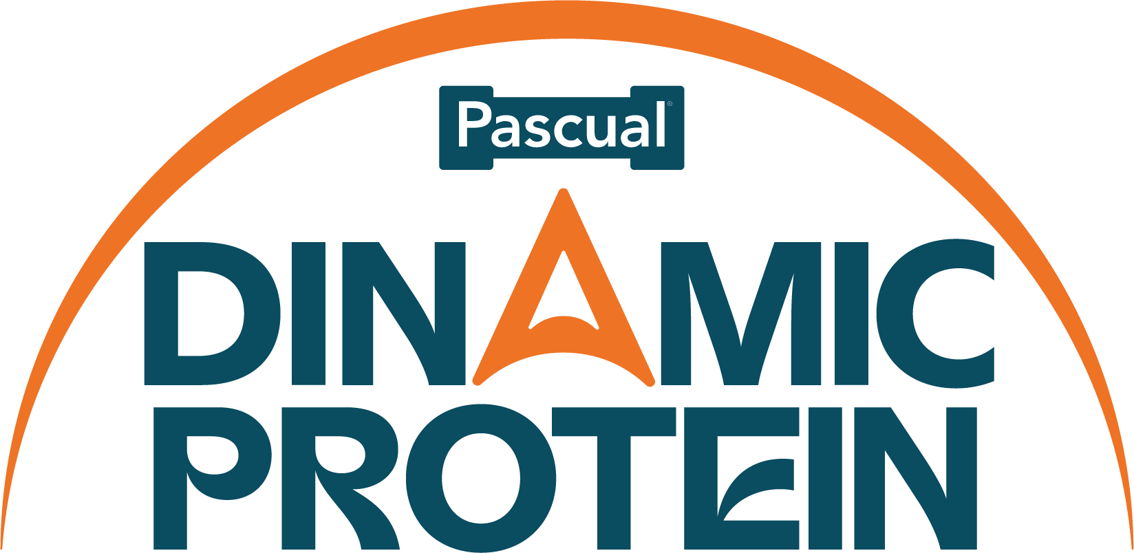 Pascual Dinamic Protein