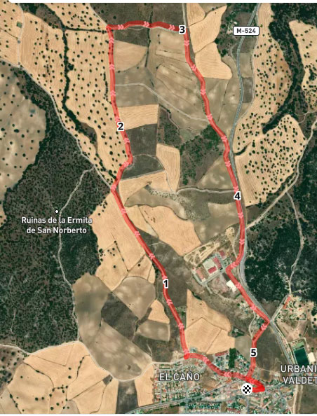Circuito carrera Absoluta, 5,4 km