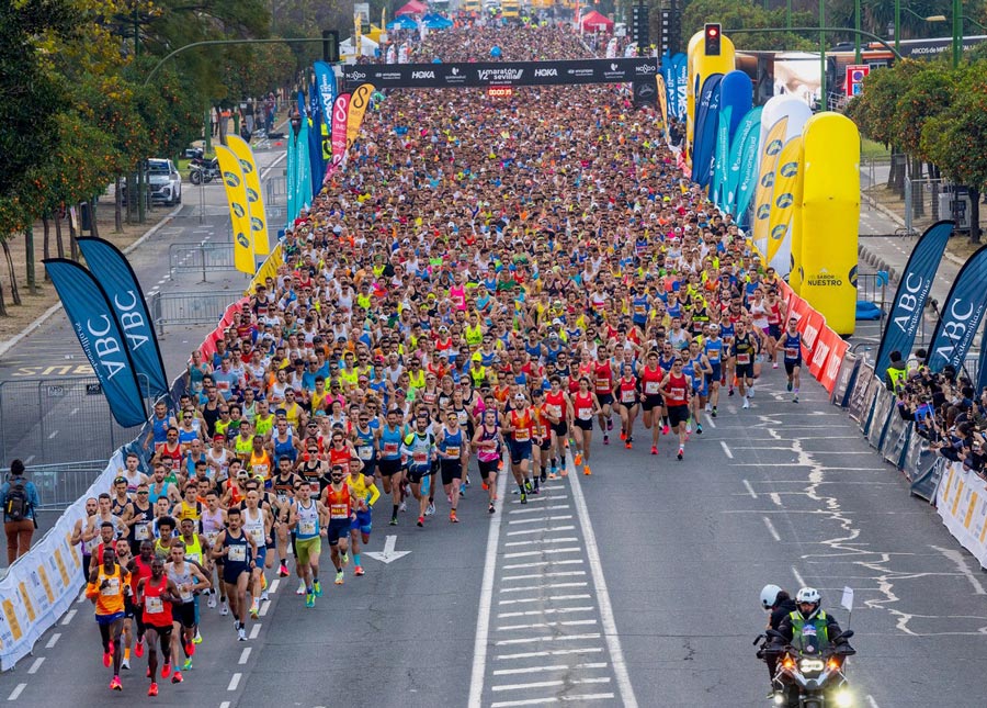 El Medio Maratón de Sevilla 2025 agota sus dorsales con más de 4 meses de antelación vuelve a batir su récord de participación con 16.000 corredores