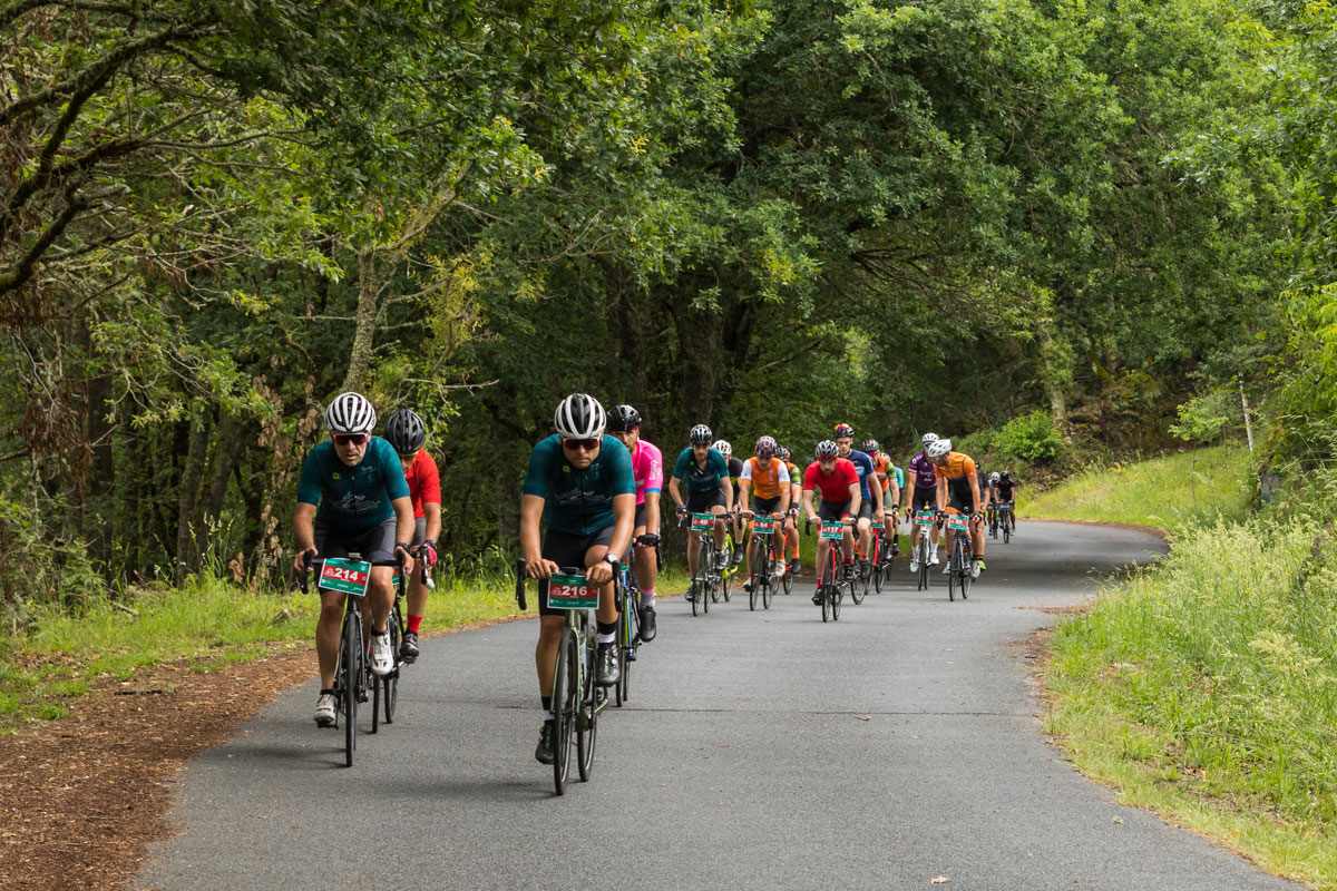 2 recorridos espectaculares. Cronometraje con chip, avituallamientos, asistencia técnica.
