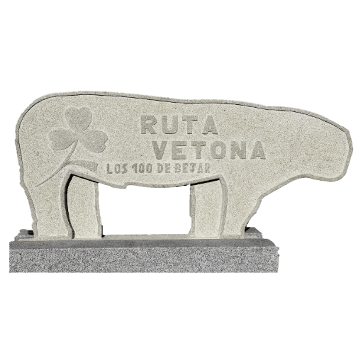 Ruta Vetona