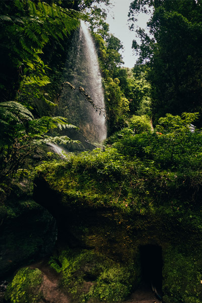 La Palma: Reconecta con la naturaleza