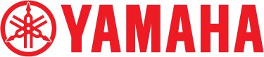 Yamaha Y-AMT Experience