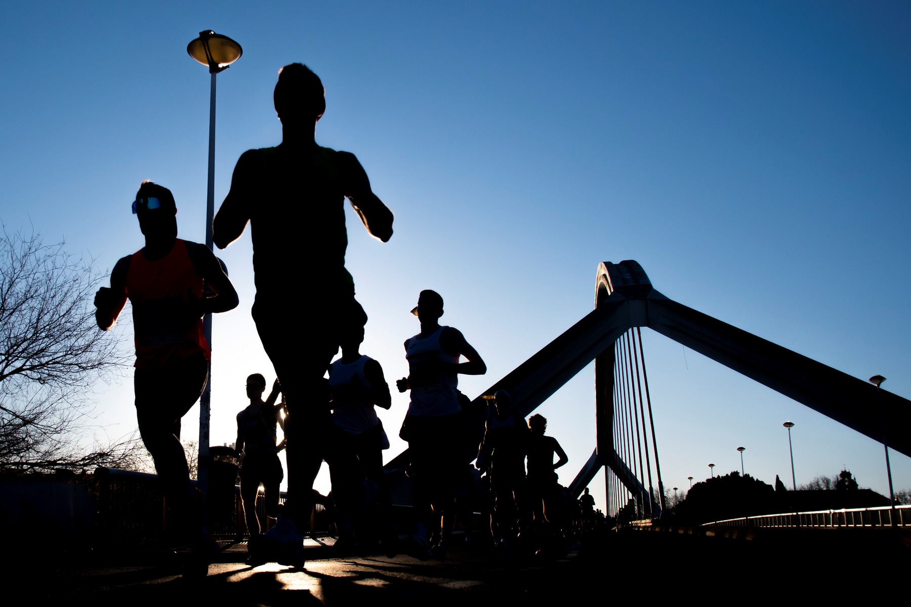 Silhouettes of runners training against the light next to a cable-stayed bridge