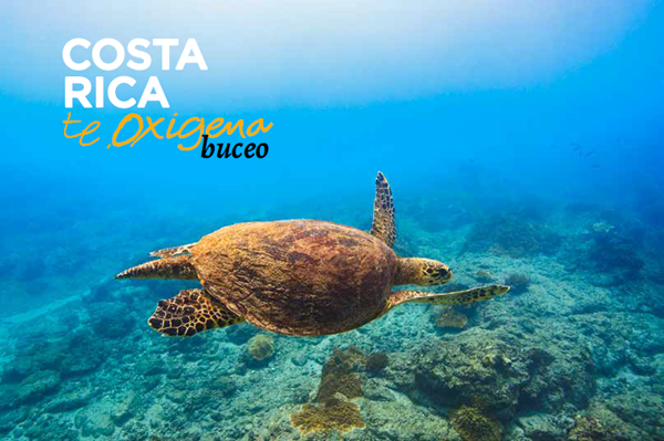 Costa Rica te Oxigena - BUCEO